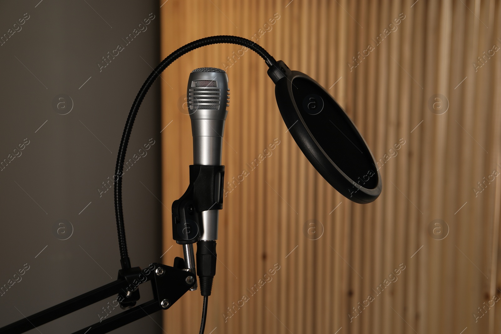 Photo of Stand with microphone and pop filter indoors. Sound recording and reinforcement