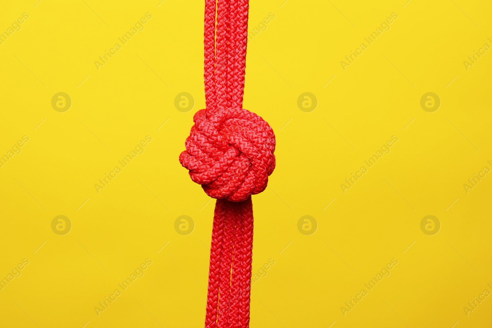 Photo of Red rope with knot on color background