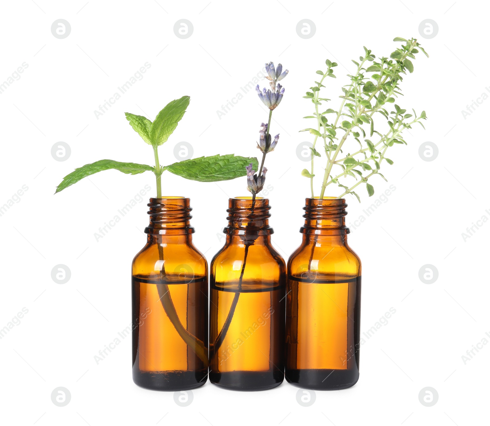 Photo of Bottles with essential oils and plants isolated on white