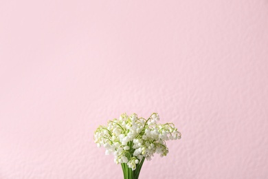 Beautiful lily of the valley flowers on color background, space for text