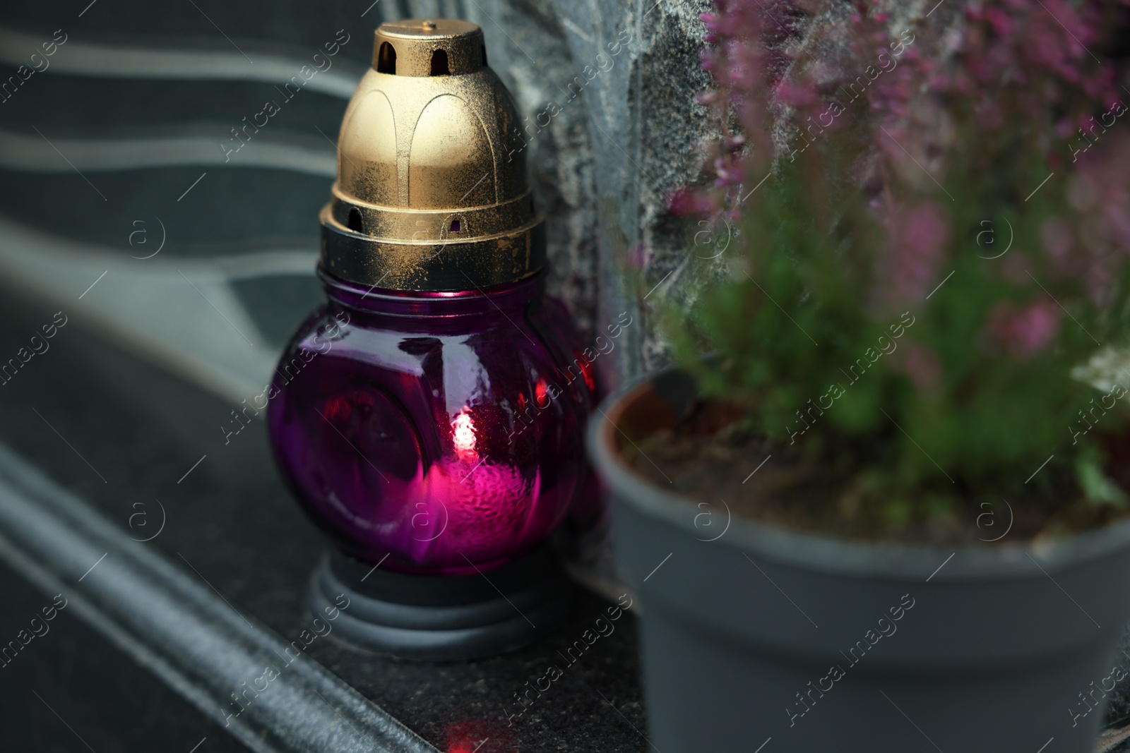 Photo of Grave light and potted heather on granite tombstone at cemetery, closeup