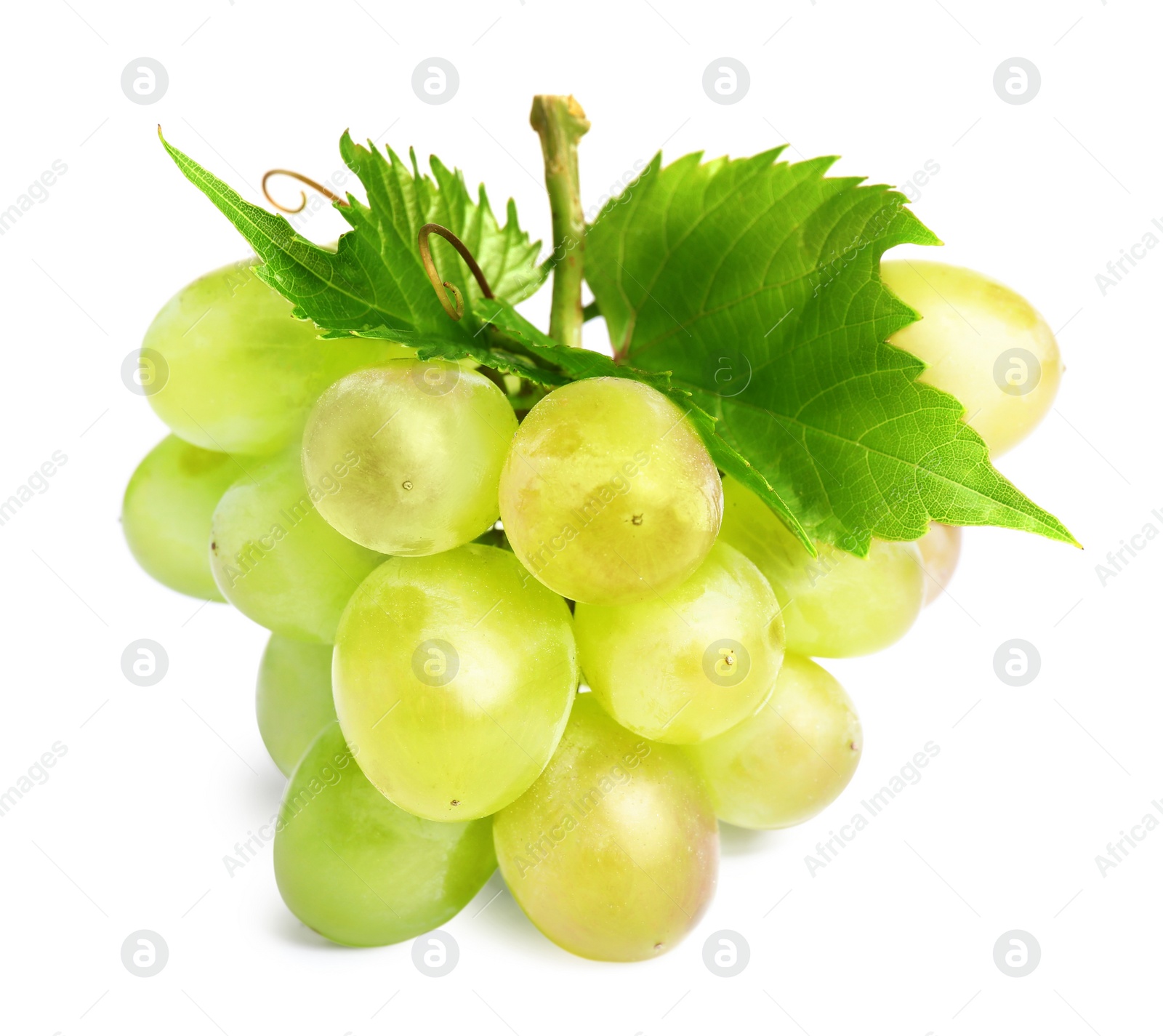 Photo of Fresh ripe juicy grapes isolated on white