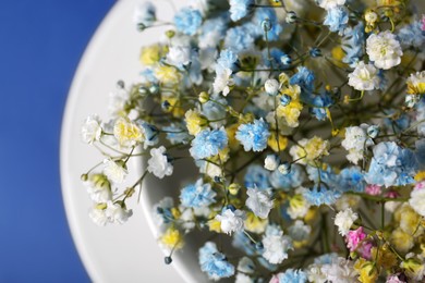 Photo of Beautiful gypsophila flowers in white cup on blue background, top view