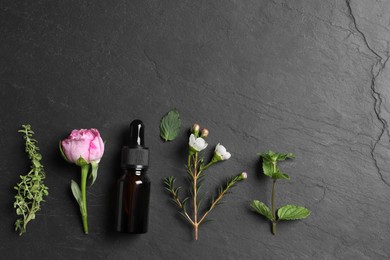 Photo of Bottle of essential oil, different herbs and flowers on black table, flat lay. Space for text