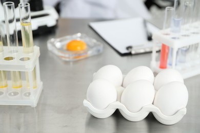 Photo of Fresh eggs on table in laboratory. Food quality control