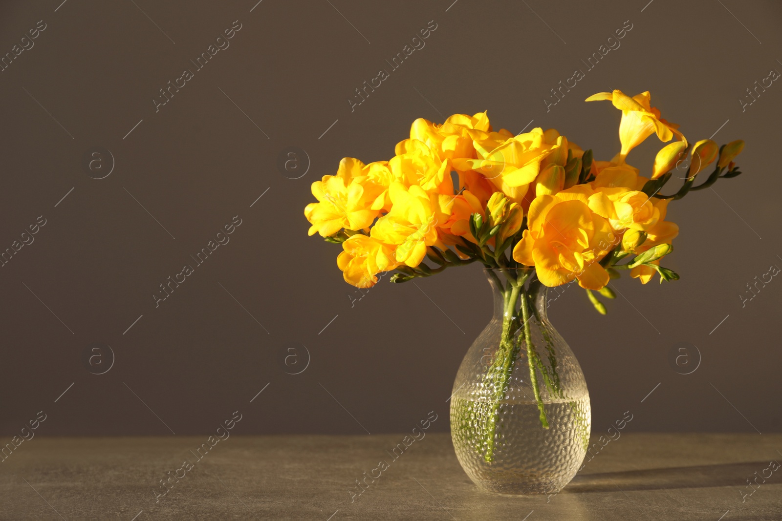 Photo of Beautiful yellow freesia flowers in glass vase on grey table, space for text