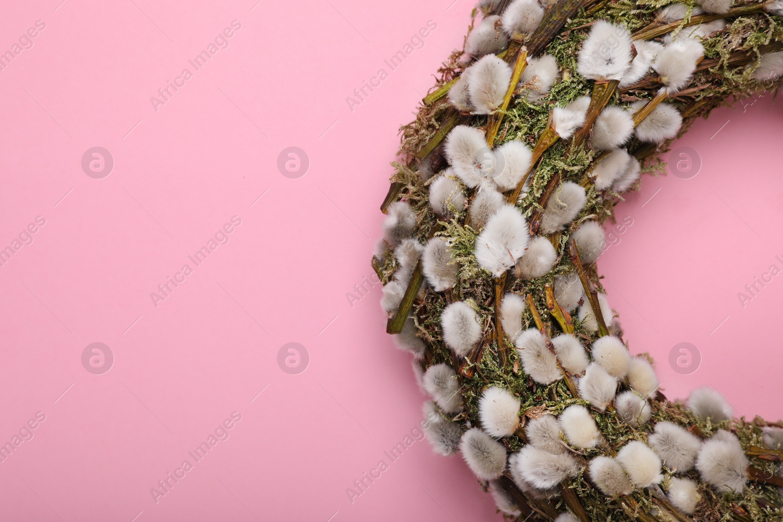 Photo of Wreath made of beautiful willow flowers on pink background, top view. Space for text