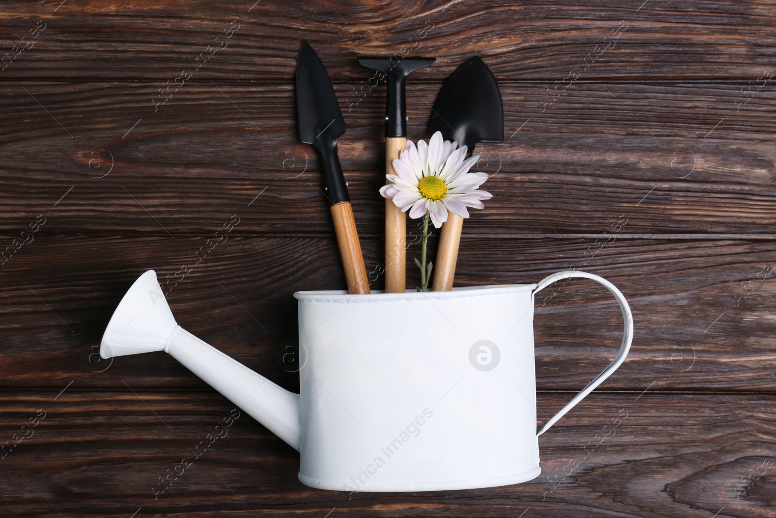 Photo of Watering can with gardening tools and flower on wooden table, top view