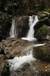 Beautiful view of mountain waterfall, rocks and green plants