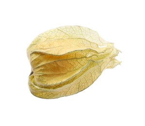 Ripe physalis fruit with calyx isolated on white