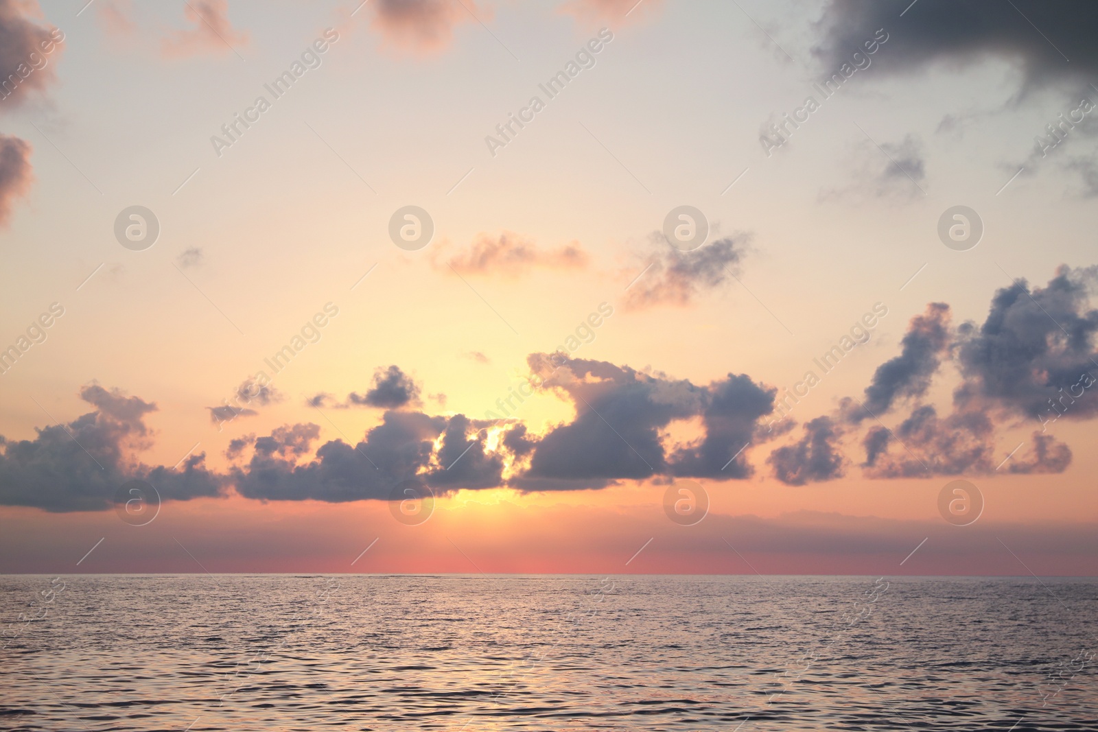 Photo of Picturesque view of beautiful sea and people parasailing at sunset