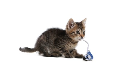 Photo of Cute little kitten playing with toy mouse on white background. Adorable pet