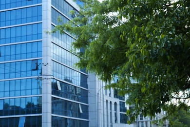 Photo of Beautiful tree with green leaves near modern building outdoors, space for text