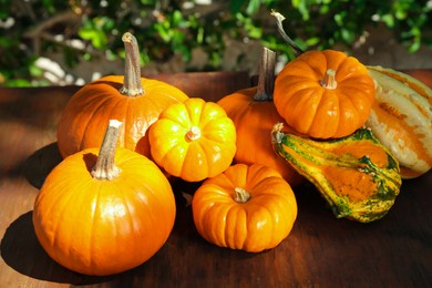 Photo of Many different ripe orange pumpkins on wooden table outdoors