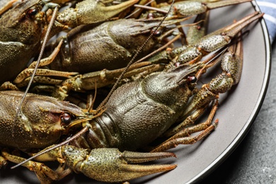 Photo of Fresh raw crayfishes on table, closeup view