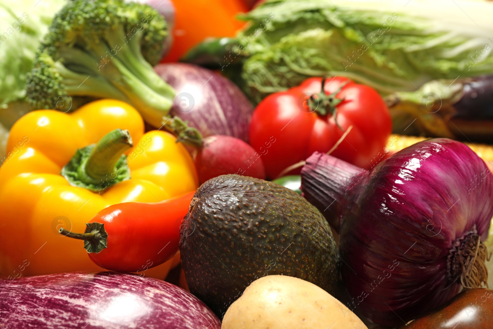 Photo of Many different fresh vegetables as background, closeup