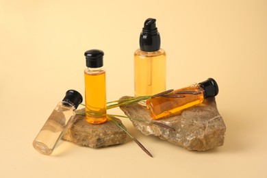 Photo of Bottles with cosmetic products, stones and reeds on beige background
