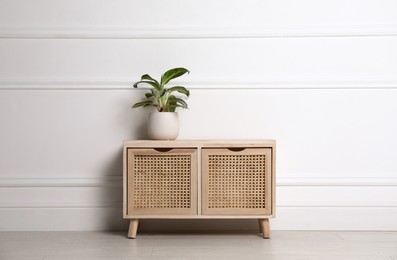 Photo of Green plant on wooden chest of drawers near white wall indoors. Interior design