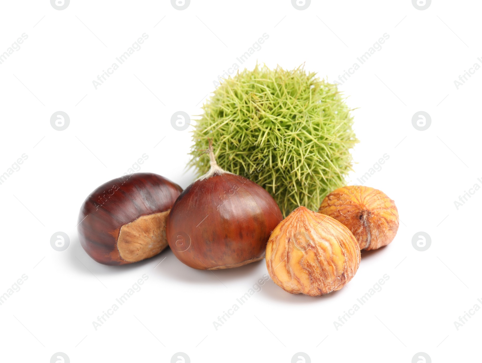 Photo of Fresh sweet edible chestnuts on white background