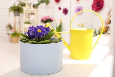 Photo of Beautiful primula with purple flowers and watering can on window sill indoors