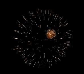 Image of Beautiful bright fireworks lighting up night sky