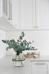 Photo of Beautiful eucalyptus branches on countertop in kitchen, space for text. Interior element