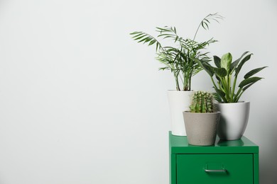 Photo of Many different houseplants in pots on green chest of drawers near white wall, space for text