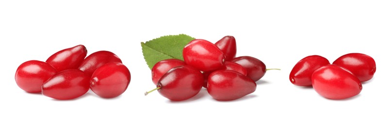 Image of Set of ripe red dogwood berries on white background, banner design