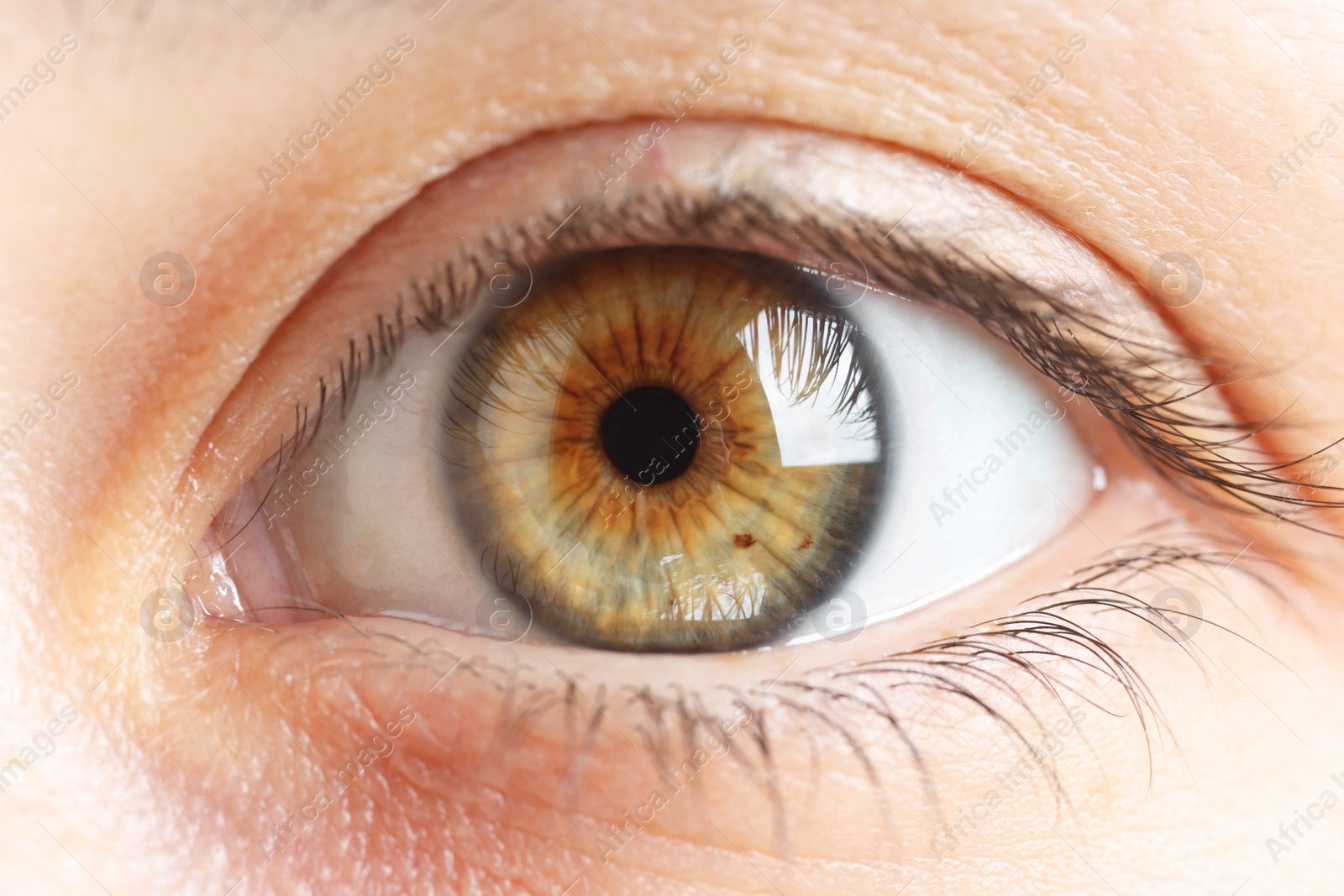 Photo of Macro photo of woman with beautiful eyes