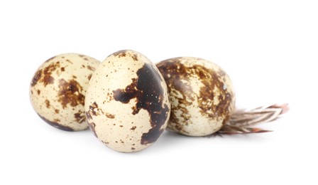 Speckled quail eggs and feathers isolated on white