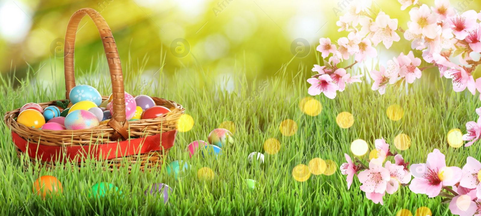 Image of Wicker basket with Easter eggs on green grass outdoors, banner design