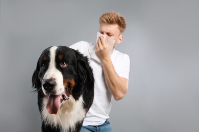 Young man suffering from fur allergy on grey background