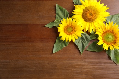 Beautiful bright sunflowers on wooden background, flat lay. Space for text