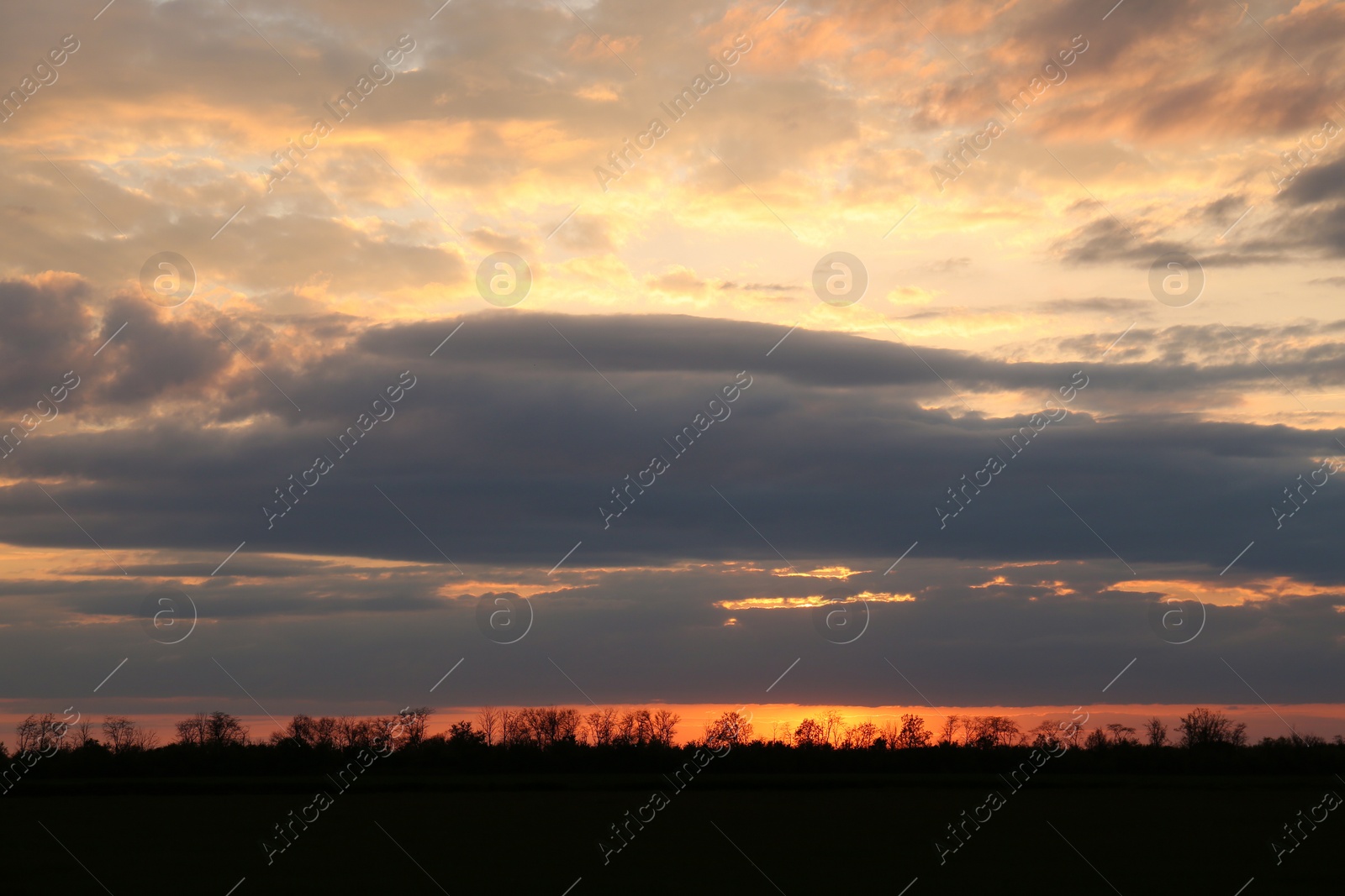 Picturesque view of beautiful countryside at sunset Photo of Picturesque view of beautiful countryside at sunset