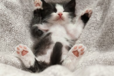 Photo of Cute baby kitten sleeping on cozy blanket, focus on paws