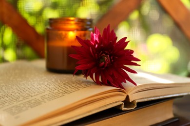 Beautiful pink chrysanthemum flower, candle and books on wooden table, closeup