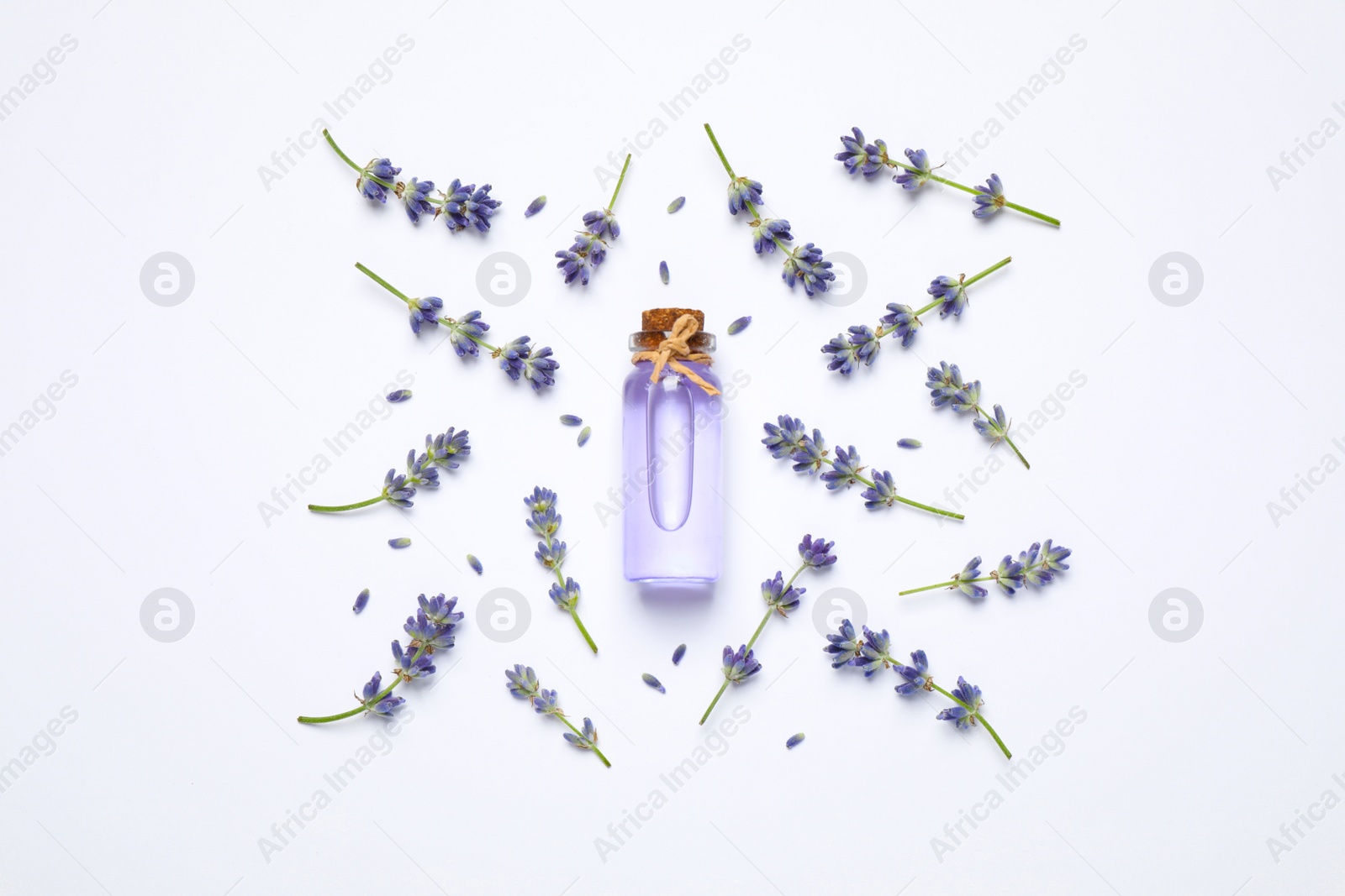 Photo of Composition with lavender flowers and natural essential oil on white background, top view