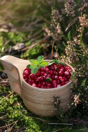 Photo of Many ripe lingonberries in wooden cup on sunny day outdoors