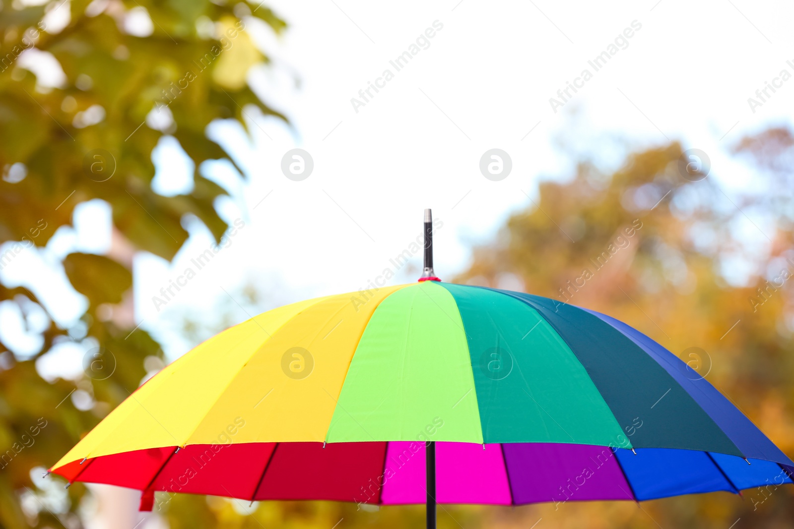 Photo of Bright color umbrella outdoors. Protection from rain