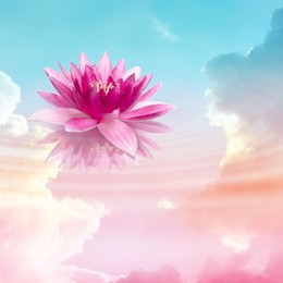 Image of Floating beautiful lotus and reflection of sky with fluffy clouds on water, toned in pastel rainbow colors. Symbolic flower in Buddhism