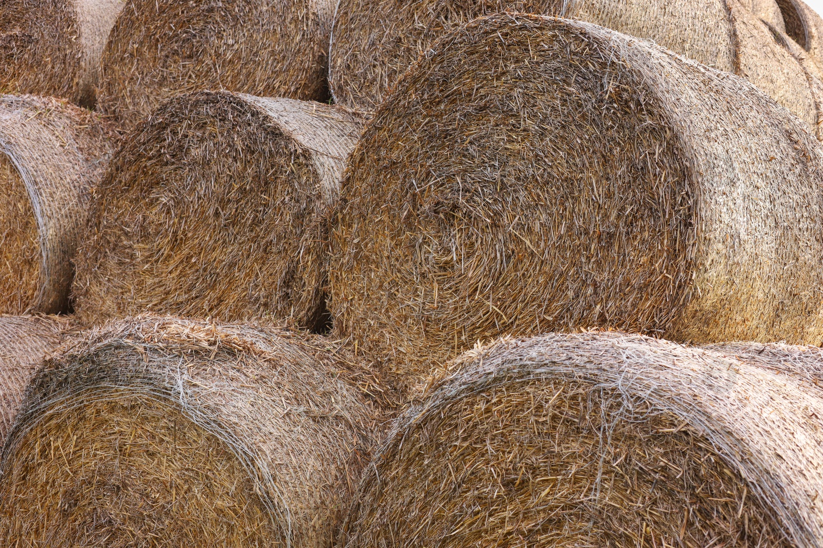 Photo of Many hay bales outdoors on spring day