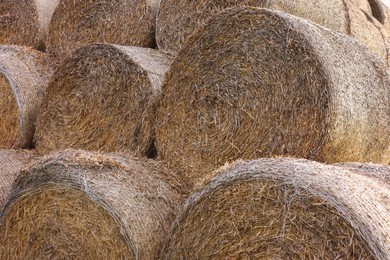 Photo of Many hay bales outdoors on spring day