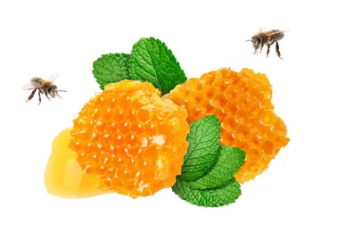 Image of Tasty honeycombs, mint and bees on white background