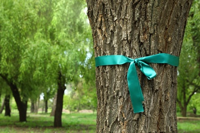 Photo of Teal ribbon tied to tree outdoors, space for text