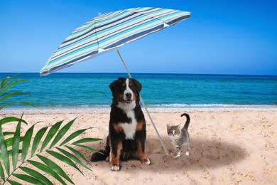 Image of Cute cat and dog under umbrella on sandy beach. Summer vacation with pets