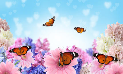 Beautiful blooming flowers and painted lady butterflies 