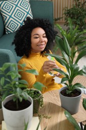 Happy woman spraying beautiful potted houseplant with water indoors