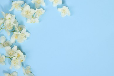 Photo of Beautiful jasmine flowers on light blue background, flat lay. Space for text