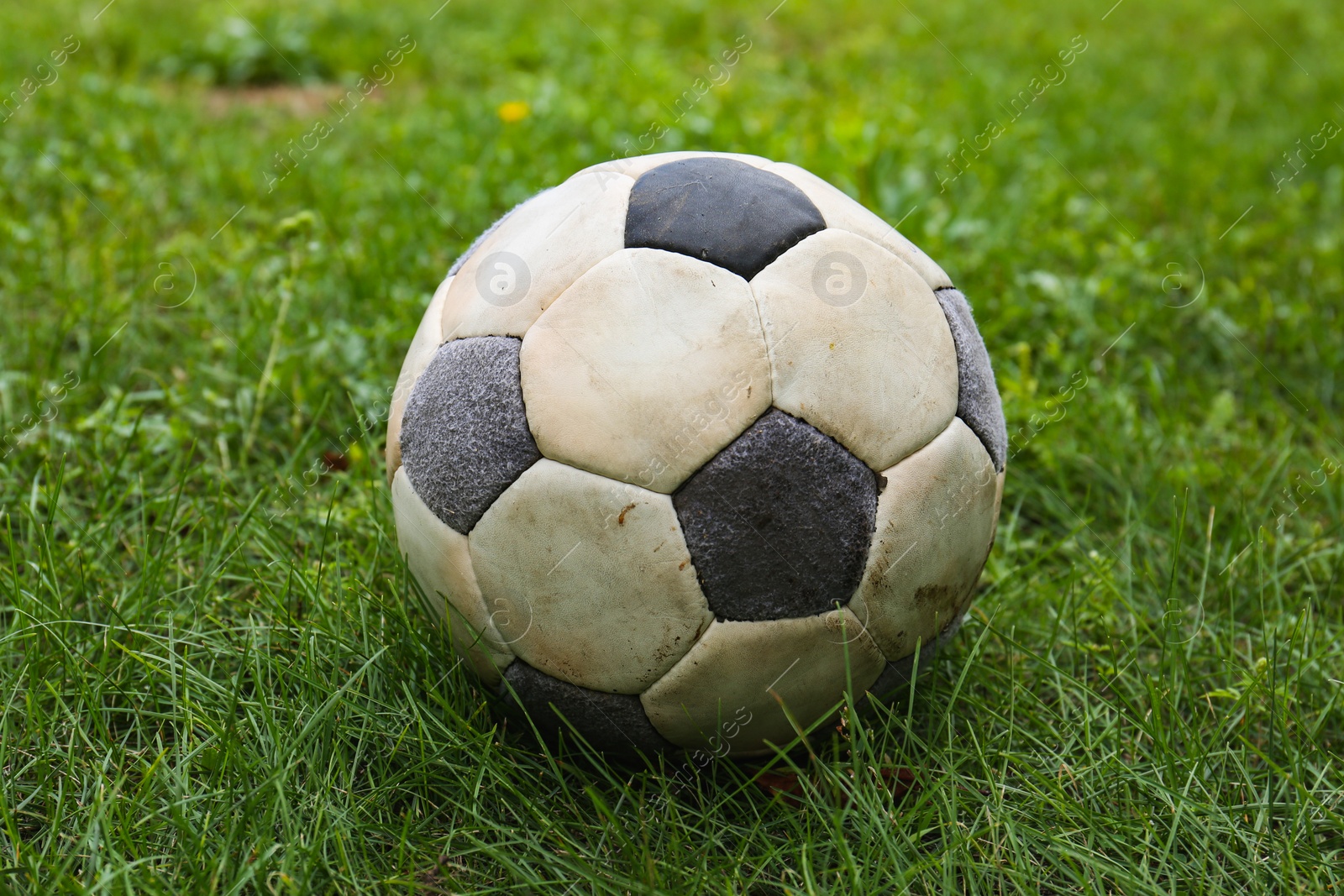 Photo of Dirty soccer ball on fresh green grass outdoors, closeup