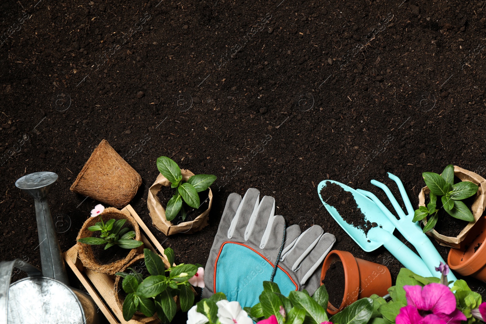 Photo of Flat lay composition with gardening equipment and flowers on soil, space for text